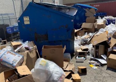 Professional Junk Removal Service